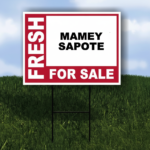 Mamey sapote fresh for sale pink double sided 18x24 inch yard road sign with stand available on Amazon