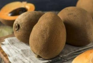 South American Mamey Sapote Fruit-Tree - Image 3