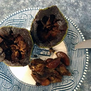 Black Sapote Fruit Tree 1 Gallon Potted AKA Chocolate Pudding Fruit - Image 6
