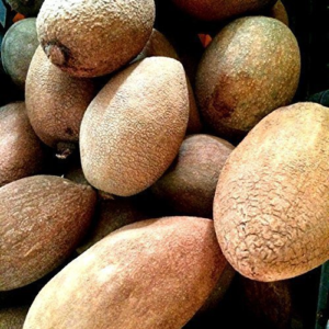 Mamey Sapote Pouteria Sapota (4 Count) - Image 2
